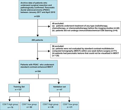 XGBoost Classifier Based on Computed Tomography Radiomics for Prediction of Tumor-Infiltrating CD8+ T-Cells in Patients With Pancreatic Ductal Adenocarcinoma